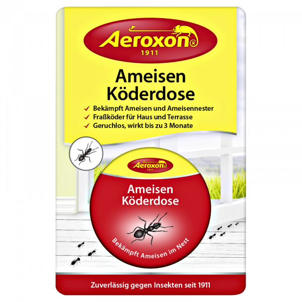 Najúčinnejšia nástraha na mravce - domček